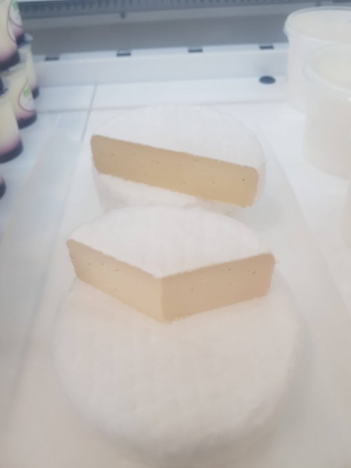 Fromage bio Tomme nature