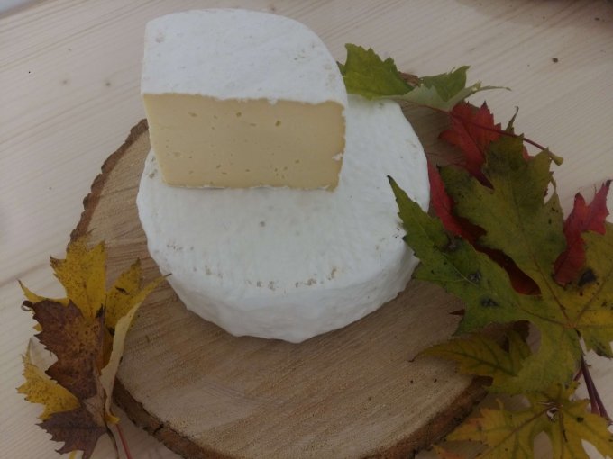 Fromage bio Tomme nature