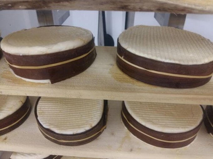 Fromage bio le Mont Villiers