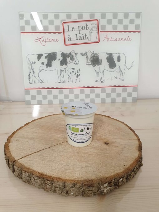 Yaourt brassé Bio nature